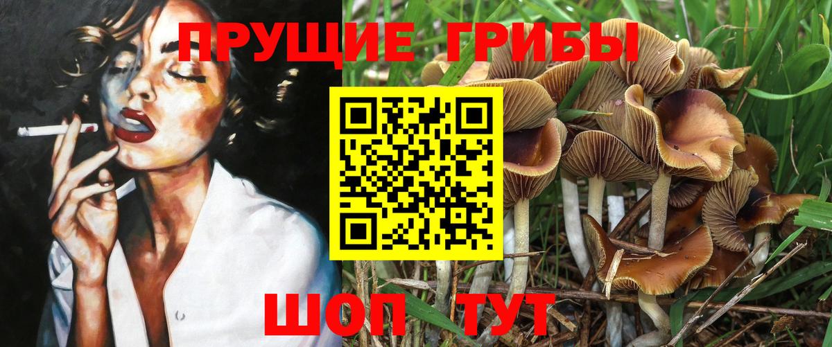 Галлюциногенные грибы Cubensis Спасск-Дальний